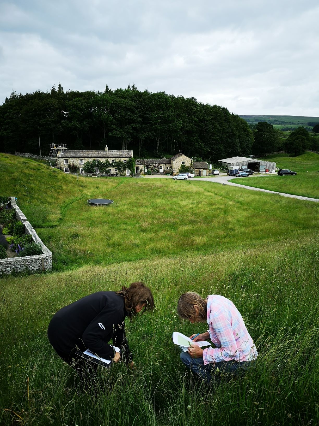 monitoring grassland