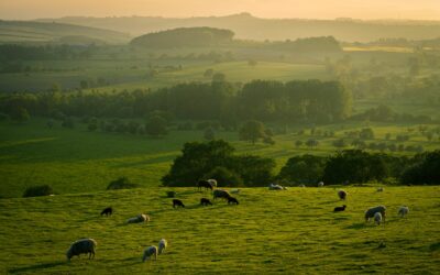 Practitioners picture desirable farming landscapes for 2040 - Future Dream Contracts