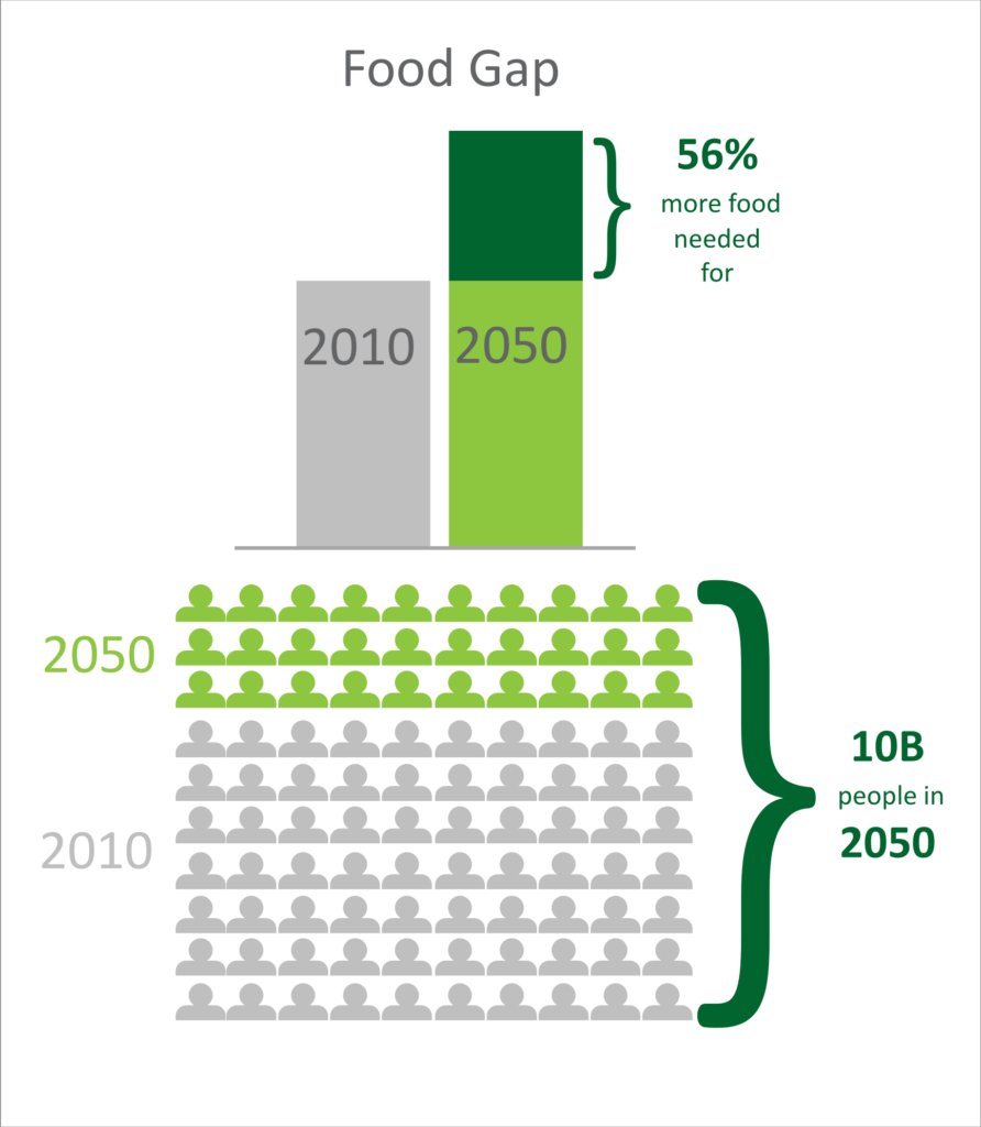 Food gap