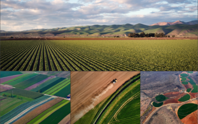 "Food provision in the 21st century" – How Contracts2.0 contributes to the scientific discussion