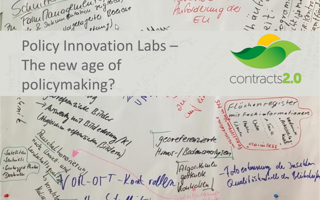 Policy Innovation Labs – The new age of policymaking?