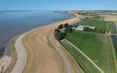 Collective AES – exploring Dutch farmers' motivation to participate