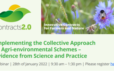 Webinar: Implementing the Collective Approach - Evidence from Science and Practice