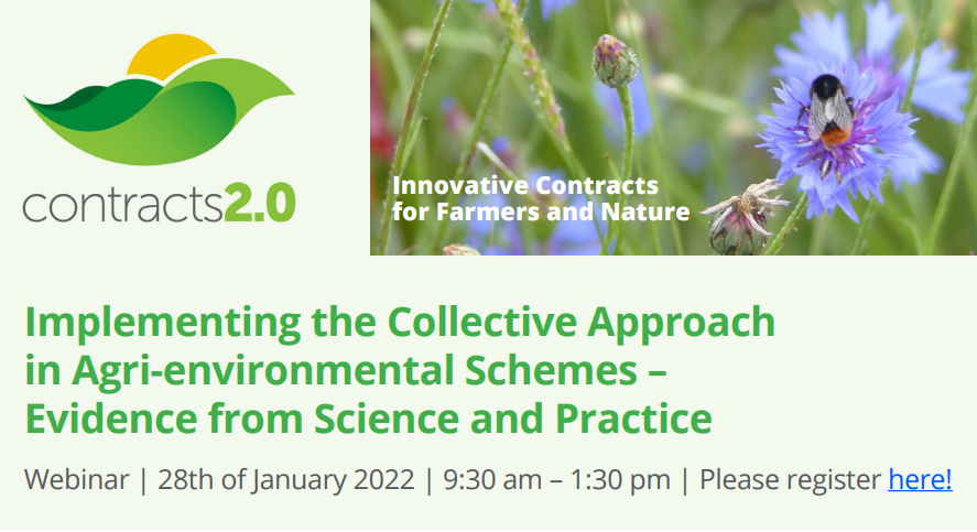 Webinar: Implementing the Collective Approach – Evidence from Science and Practice