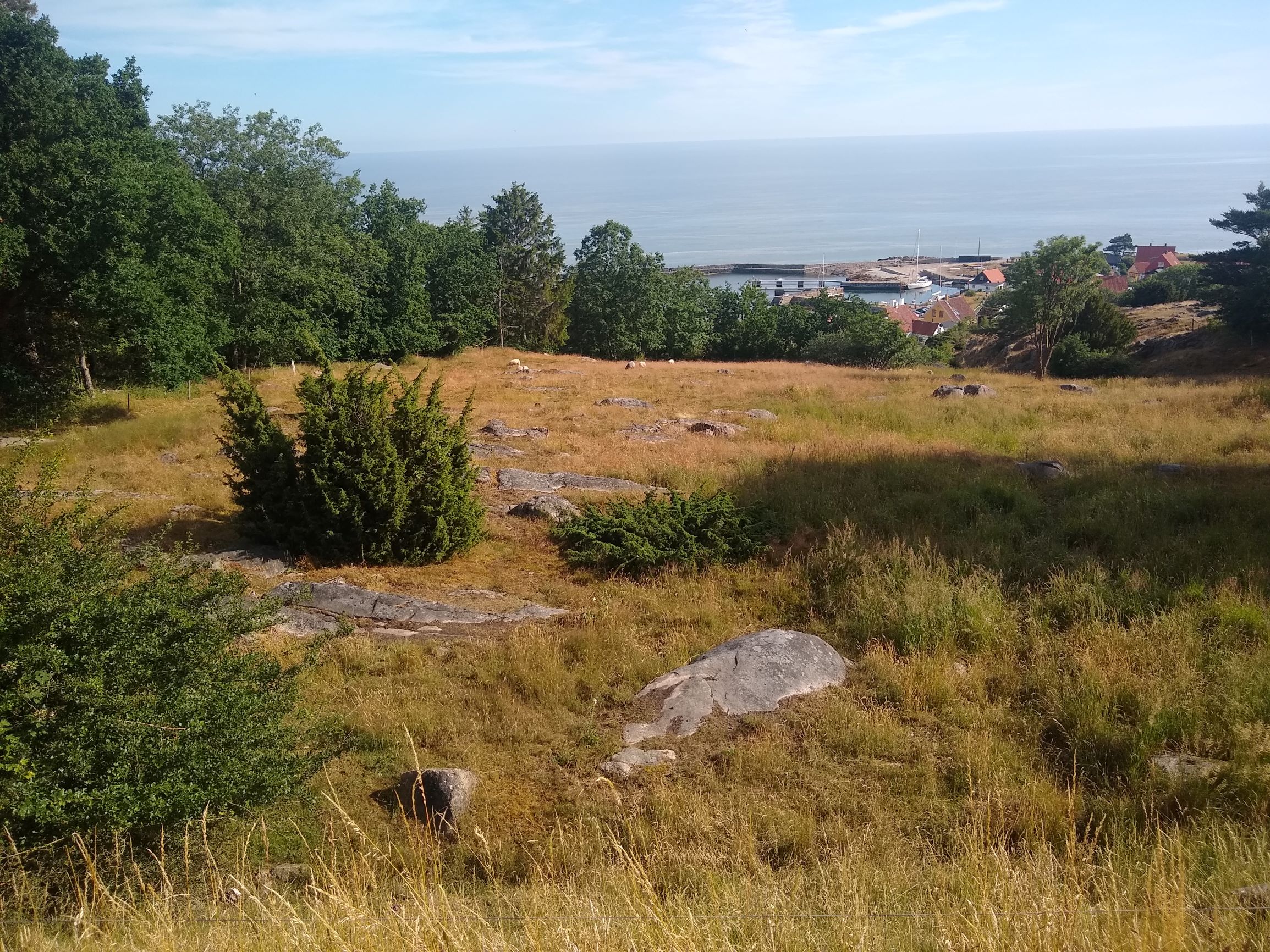 CIL_Bornholm_8_sized