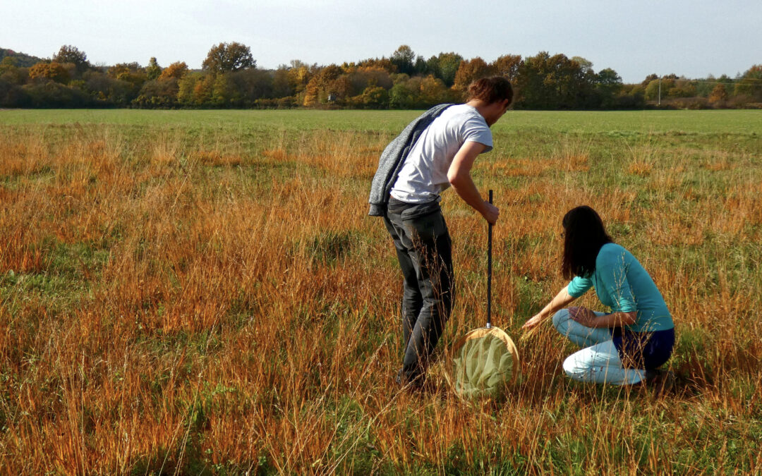 Development of innovative agri-environmental contracts in contracts2.0 case study regions